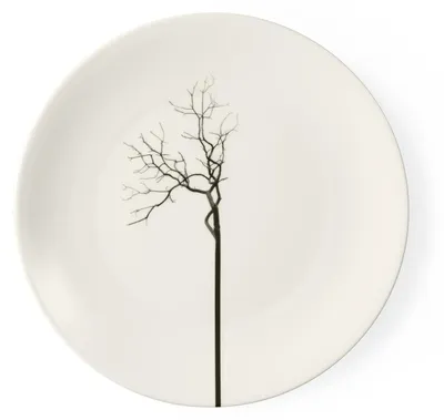Produktbild von Teller flach 26 cm Black Forest Fine Bone China