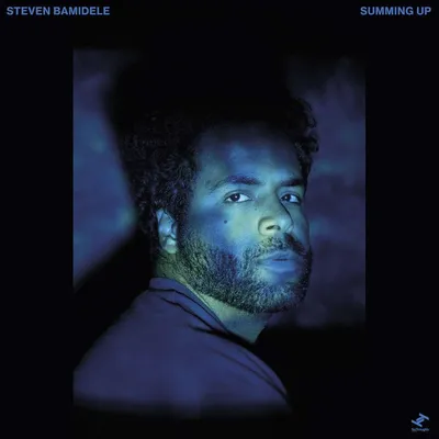 Image de Steven Bamidele : Summing Up -   - (Vinyle / Rock (Vinyle))
