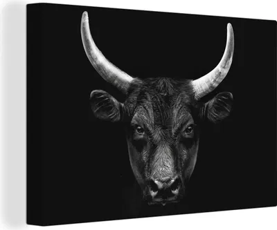 Produktbild von OneMillionCanvasses® - Leinwandbilder - 140x90 cm, Tiere - Stier - Schwarz - Weiß - Porträt, Wandbilder Kunstdruck Wanddekoration - Foto auf Leinwand - Gemälde auf Holzrahmen