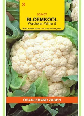 Immagine prodotto di Oranjeband: Cavolfiore Walcheren, varietà invernale. Confezione da 1 busta di semi