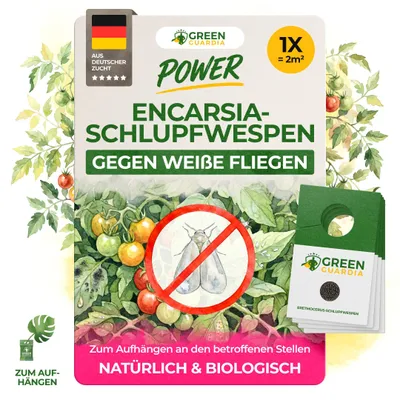Produktbild von Encarsia Schlupfwespen gegen weiße Fliegen, 1 Karte für 5 m², weiße Fliege bekämpfen für Innenräume & Gewächshaus, chemiefrei & sicher, GREEN GUARDIA