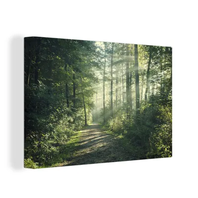 Produktbild von OneMillionCanvasses® - Leinwandbilder - 150x100 cm, Wald - Licht - Weg, Wandbilder Kunstdruck Wanddekoration