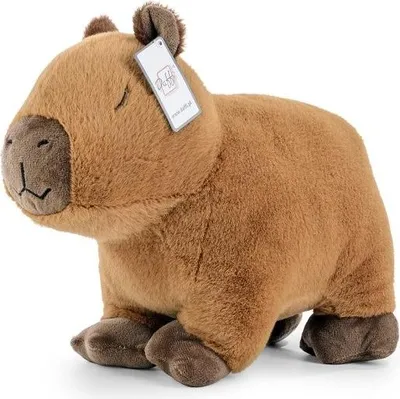 Obrázek produktu pro Maskotka Kapibara pluszowa zabawka 25 cm