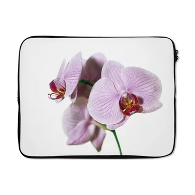 Produktbild von MuchoWow® Laptop Hülle 15 Zoll Rosa Orchideenblüte Laptoptasche - Laptoptasche - Sleeve - Rundum-Schutz