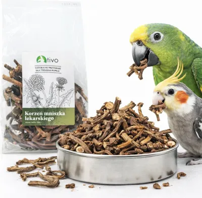 Zdjęcie produktu dla TIVO Korzeń mniszka dla papug - naturalny dodatek roślinny | 100 g