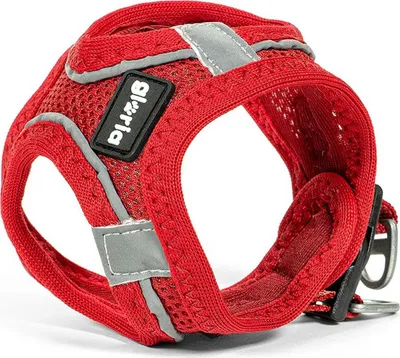 Obrázek produktu pro Gloria Air Mesh Trek Star Hundegeschirr 3XS 3XS