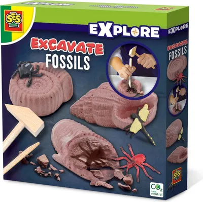 Image de SES Creative 25066 Déterrer des fossiles