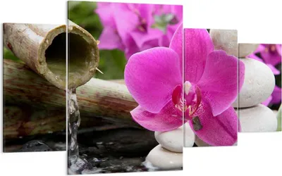 Produktbild von Bild auf Leinwand - Leinwandbild - Orchidee Bambus Dekoration Spa - 160x90cm - Wand Bild - Wanddeko - Leinwanddruck - Bilder - Kunstdruck - Wanddekoration - Leinwand bilder - Wandkunst - DL160x90-2666