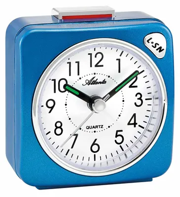 Image de Atlanta montre 2114-5