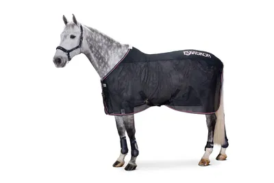 Produktbild von Eskadron New Basic Pro Cover Fliegendecke