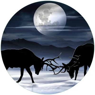 Produktbild von Wallario Premium Glasbild, freischwebende Optik, kräftige Farben, rund 50cm Durchmesser, Motiv Elch im Schnee bei Mondschein - Silhouette am Abend