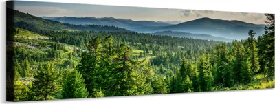 Obrázek produktu pro Panoramatický obraz do obývacího pokoje LAS Hory Krajina 3D efekt Příroda 145x45cm
