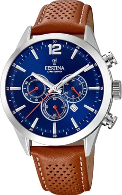 Obrázek produktu pro Pánské hodinky Festina F20542/3 Timeless