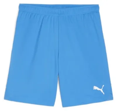 Produktbild von Puma Teamgoal Shorts Herren - Royal