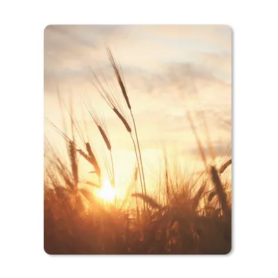 Produktbild von MuchoWow® Mauspad Mousepad Schilf - Gras - Sonnenuntergang - Natur - Horizont 30x40 cm - Mousepads - Maus Mat - Pad - Mausunterlage - Mausmatten