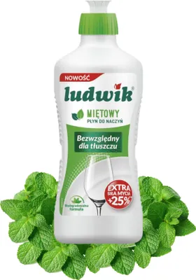 Zdjęcie produktu dla Miętowy Płyn do naczyń Ludwik 900 ml Płyn do mycia tłustych naczyń
