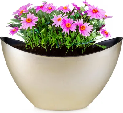 Immagine prodotto di Fioriera ovale jardiniere 24 cm vintage color oro per esterni