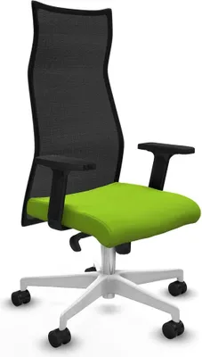 Image de Bürostuhl Piqueras y Crespo B2D026N Pistazienfarben