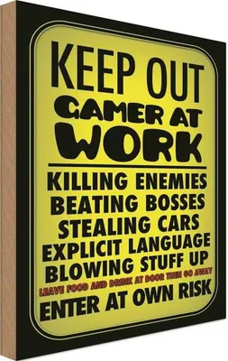 Produktbild von vianmo Holzschild 18x12 cm Keep out gamer at work enter Calm