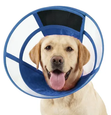 Genesungshalsband für Hunde, Wundschutz, blau, L