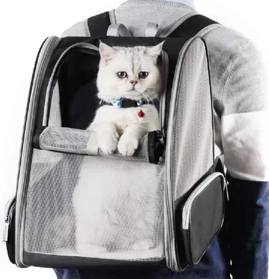 Produktbild von Transporttasche für Kleintiere - Atmungsaktiver Rucksack - 1 Stück - Schwarz - Zusammenklappbar