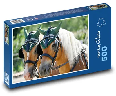 Zdjęcie produktu dla Puzzle 500 Piękno Zaprzęgu Koni - martinpuzzle