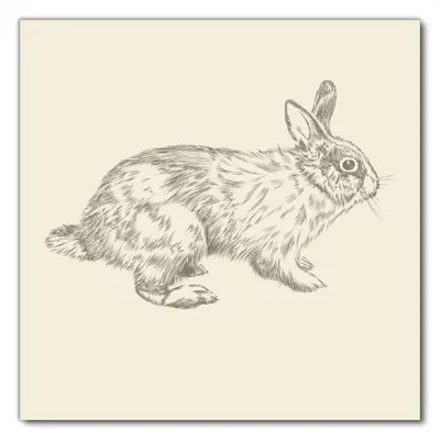 Produktbild von Wallario selbstklebende Möbelfolie/ Tischdecke für Innen und Außen, Größe: 60 x 60 cm - Hase als illustrierte Bleistiftzeichnung