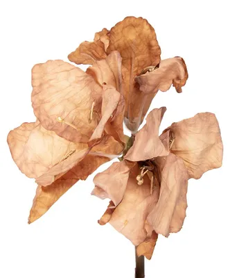 Produktbild von Clayre & Eef Kunstblume 65 cm Braun Kunststoff