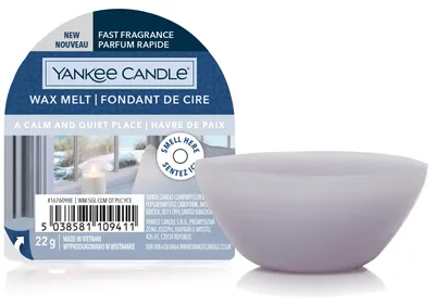 Produktbild von Yankee Candle 1676098E, Rund, Violett, 22 g, 1 Stück(e)