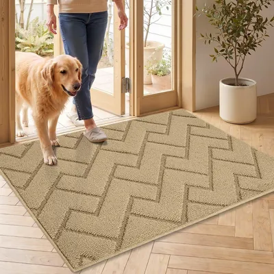 Immagine prodotto di Tappetino per interni ed esterni, lavabile, antiscivolo, ideale per raccogliere lo sporco, colore beige, dimensioni 60x90 cm