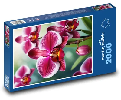 Obrázek produktu pro martinpuzzle - Puzzle 2000 - Květ orchideje