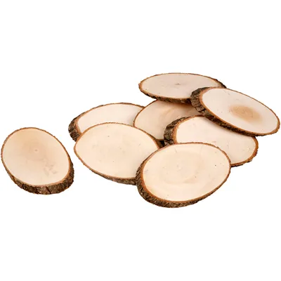 Produktbild von Creativ Company Holzscheiben Basteln 12 Stück Natur