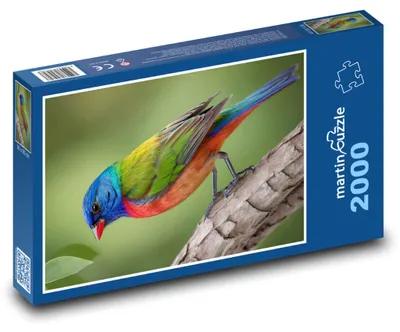 Produktbild von martinpuzzle - Puzzle 2000 Teile - Bunter Vogel