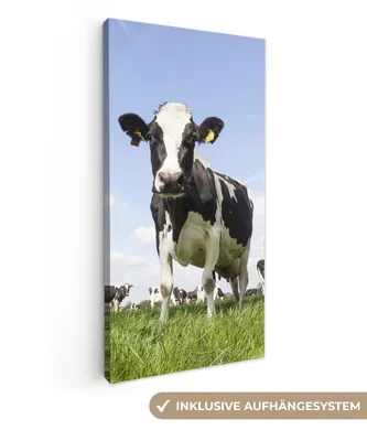 Obrázek produktu pro OneMillionCanvasses® - Obraz na plátně - krávy - tráva - zvířata - slunce - farma, nástěnná malba, nástěnné dekorace obrazy obývací pokoj, 40x80cm
