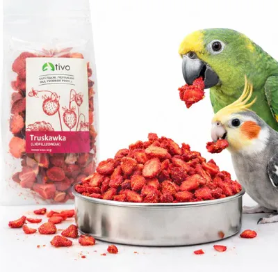 Zdjęcie produktu dla Chrupiąca truskawka liofilizowana dla papug - naturalny przysmak owocowy | 20 g