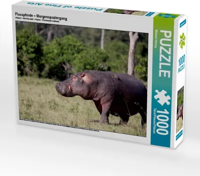 Produktbild von Calvendo Flusspferde – Morgenspaziergang 1000 Teile Puzzle quer 640x480mm, Herzog Michael; 7399147