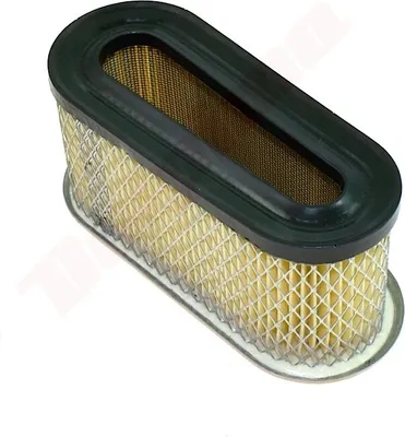 Immagine prodotto di Filtro aria per B&S ( 491021 ) Vanguard 172X78/70X77