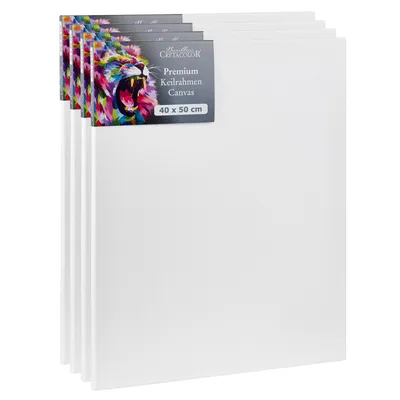 Obrázok produktu pre Cretacolor napínacie rámy 40 x 50 cm – 4 ks – sada plátien – prémiové maliarske plátno na drevenom ráme – bavlnené plátno pre akryl, olej a zmiešané techniky