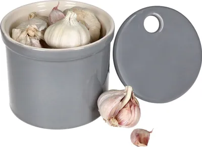 A grey ceramic garlic keeper with a lid and several garlic bulbs.