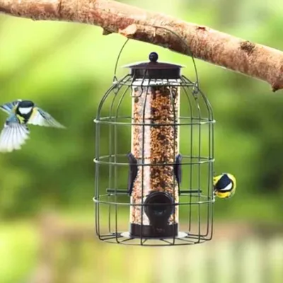 Produktbild von Wildvogelfutter für wilde Vögel: Vogelbeobachtung in deinem Garten