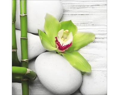 Produktbild von Glasbild Flowers Stones Bamboos II 50x50 cm