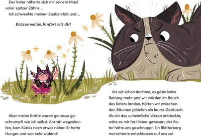 Obrázek produktu pro Malverina (Band 4) - Der geheimnisvolle Wasserfall