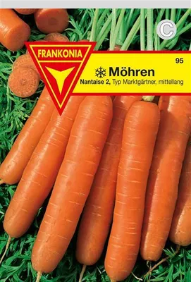 Produktbild von Möhre Nantaise 2