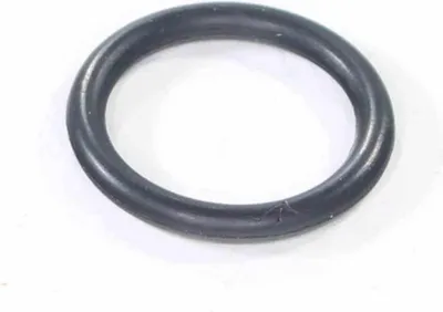 Immagine prodotto di O-Ring P16 Atv Alaska 300 Dinli