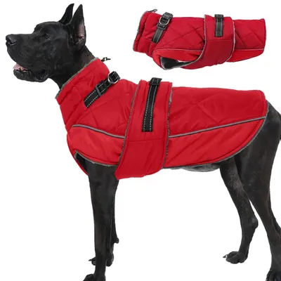 Produktbild von Hundemantel Winter mit Reflektoren & Geschirr Rot 3XL