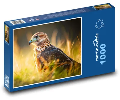 Obrázok produktu pre Puzzle 1000 Orol v zlatavej krajine - martinpuzzle