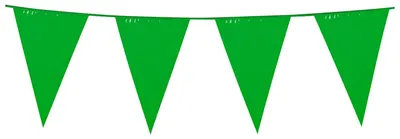 Immagine prodotto di Ghirlanda per feste verde 10m - taglia unica