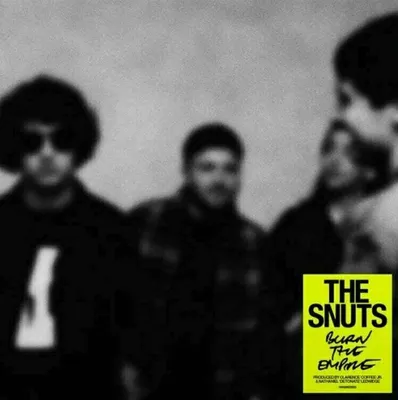 Zdjęcie produktu dla The Snuts - Burn The Empire (LP)