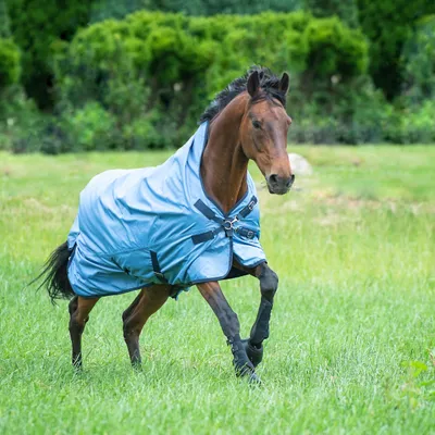 Produktbild von BUSSE Outdoordecke 0g Rain-Dear Regendecke Eisblau (Navy) 145