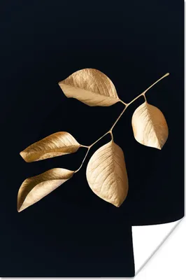 Produktbild von MuchoWow® Poster Blätter - Zweig - Gold - Luxus 40x60 cm - Plakate für die Wand - Poster Babyzimmer